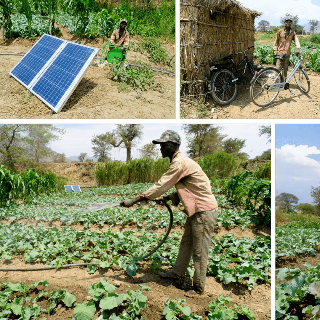 futurepump's tweet photo. This is a guest blog by Kevin S. of Malawi Fruits. Malawi Fruits help to make solar pumps affordable through a rent to own model, allowing farmers like Alex to benefit.

Read the blog to find out what surprised Kevin when he visited Alex’s farm…

https://t.co/qmWX8drIlW https://t.co/TpSukZIISF