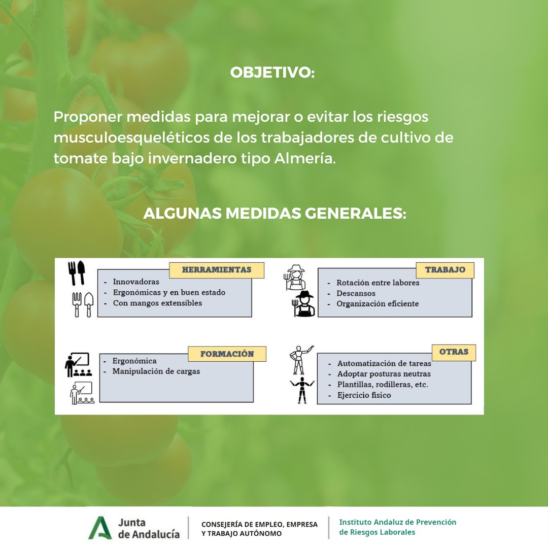 IAPRL's tweet photo. 🔊Píldoras informativas elaboradas por el LASA: Riesgos musculoesqueléticos en cultivo de tomate bajo invernadero 🍅

#iaprl #iaprlandalucia #prl #pildorasinformativas https://t.co/LghUOssRe3