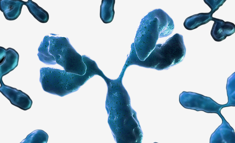 frenovo's tweet image. An antibody is a protective protein produced by the body in response to an antigen. Antigen (abbreviation AG) refers to any substance that can induce the generation of antibodies, and any substance that ca... frenovobio.com/antibody-and-a… #myotest #ntprobnptest