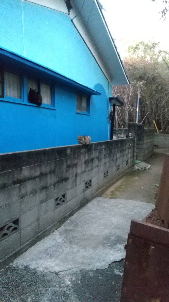 岡本一広 on Twitter