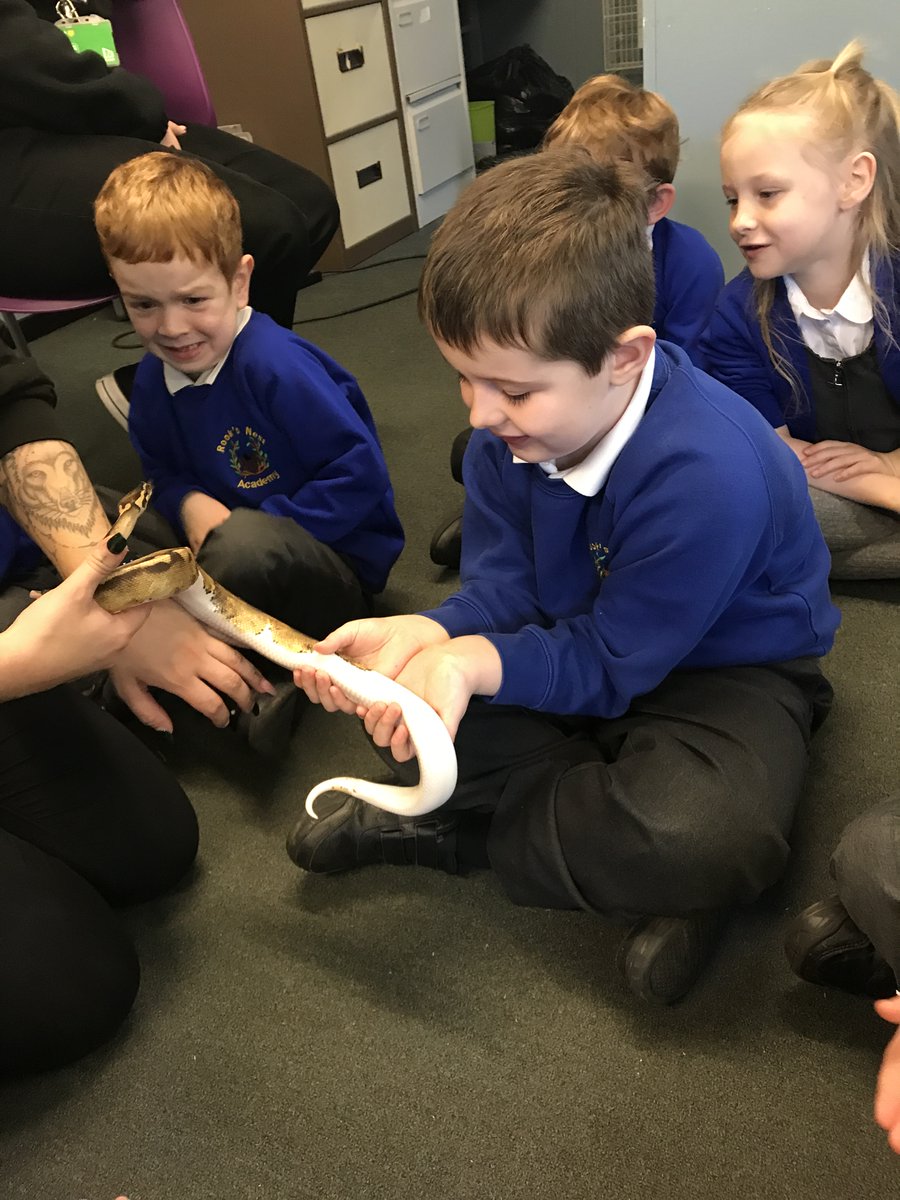 RNAMrsMilfull's tweet photo. Year 1 and 2 enjoyed learning all about how animals use their senses, from our visitor from ZooLab. We looked at  a giant snail, a stick insect, a scorpion, a ball python and an Australian Tree frog. Some of us held or touched the animals. It was a super experience! https://t.co/G0ENLhHak8