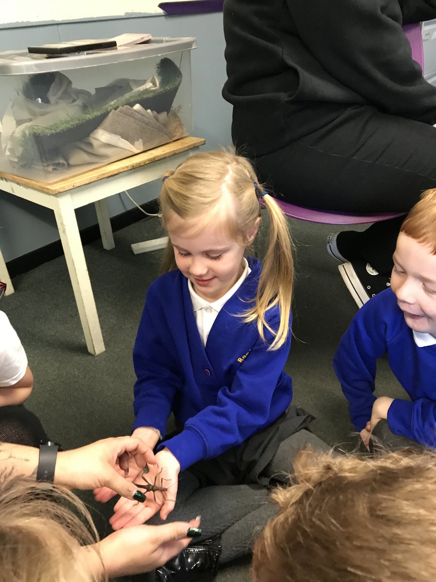 RNAMrsMilfull's tweet photo. Year 1 and 2 enjoyed learning all about how animals use their senses, from our visitor from ZooLab. We looked at  a giant snail, a stick insect, a scorpion, a ball python and an Australian Tree frog. Some of us held or touched the animals. It was a super experience! https://t.co/G0ENLhHak8