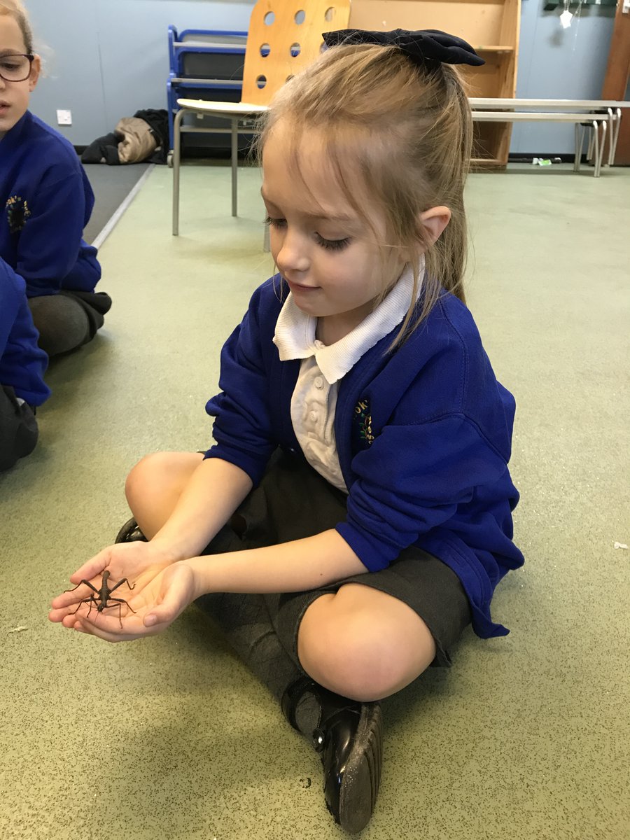 RNAMrsMilfull's tweet photo. Year 1 and 2 enjoyed learning all about how animals use their senses, from our visitor from ZooLab. We looked at  a giant snail, a stick insect, a scorpion, a ball python and an Australian Tree frog. Some of us held or touched the animals. It was a super experience! https://t.co/G0ENLhHak8