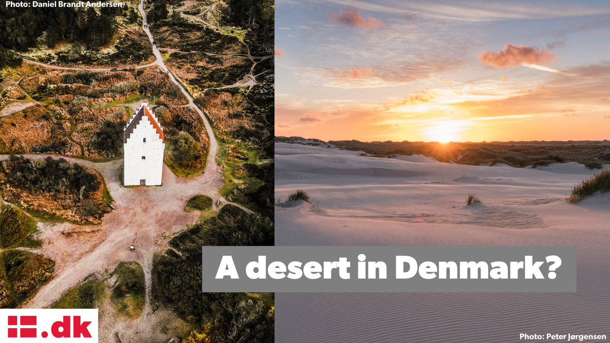 denmarkdotdk's tweet photo. A desert in Denmark? Well, not technically, but it’s pretty close!

Råbjerg Mile in Jutland is a fascinating phenomenon. It is a giant migrating set of sand dunes, moving 15 m per year. In the same area, the so-called sand-buried church is found. Today, only the tower is visible! https://t.co/JfZ6Gx6PTP