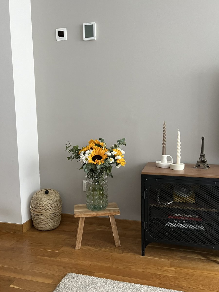 friastgaelle's tweet photo. girasoles en casita https://t.co/EB1R4GfTll