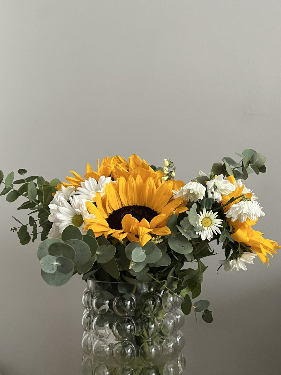 friastgaelle's tweet photo. girasoles en casita https://t.co/EB1R4GfTll
