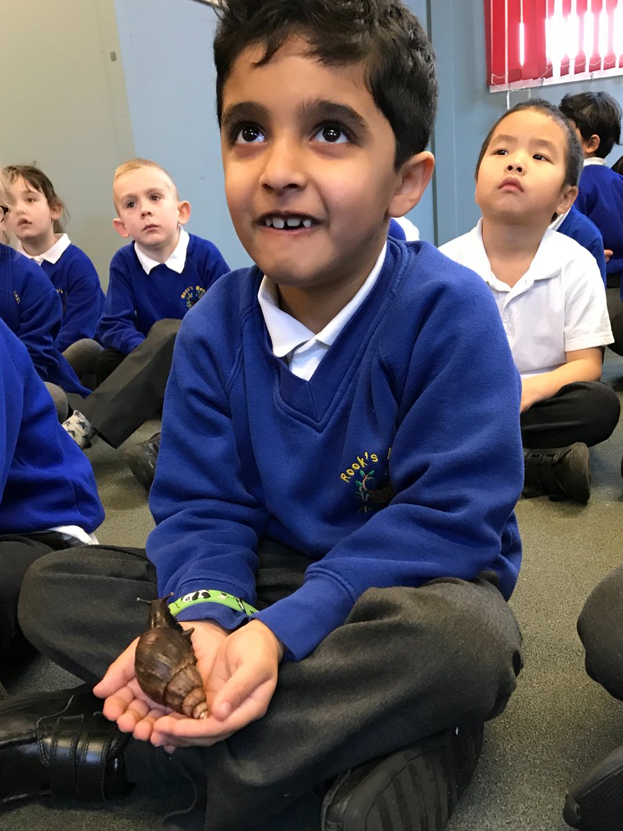 RNAMrsMilfull's tweet photo. Year 1 and 2 enjoyed learning all about how animals use their senses, from our visitor from ZooLab. We looked at  a giant snail, a stick insect, a scorpion, a ball python and an Australian Tree frog. Some of us held or touched the animals. It was a super experience! https://t.co/G0ENLhHak8