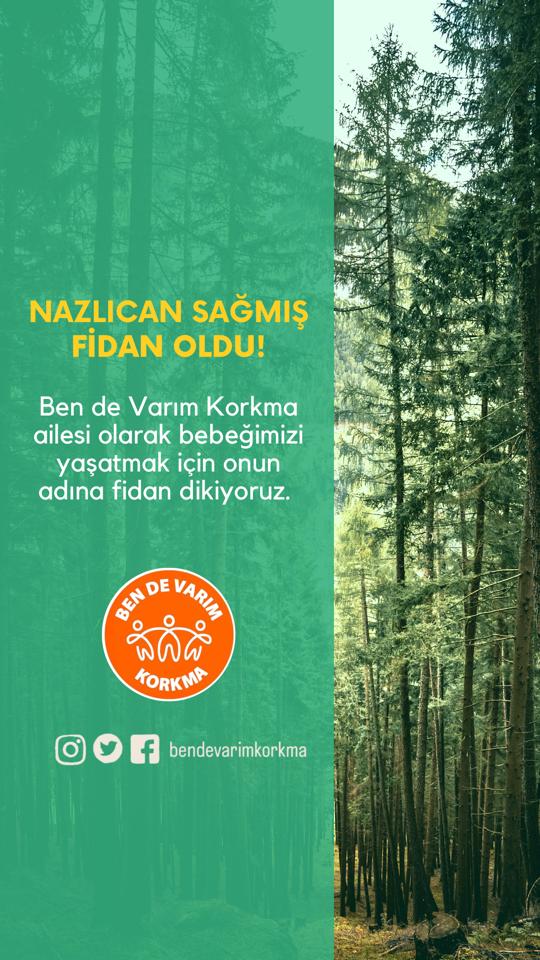 Kaybettiğimiz @Nazlicanhayatol kızımızı Ben de Varım Korkma ailesi olarak yaşatmak için onun adına fidan dikiyoruz.
Ailesi ve gönüllülerine sabırlar dileriz
Başka çocuklarımızın fidan olmamasi umuduyla...

#astor #AHMETCALIK #survivor2023 #GoldenGlobes #carsamba #GoldenGlobes2023