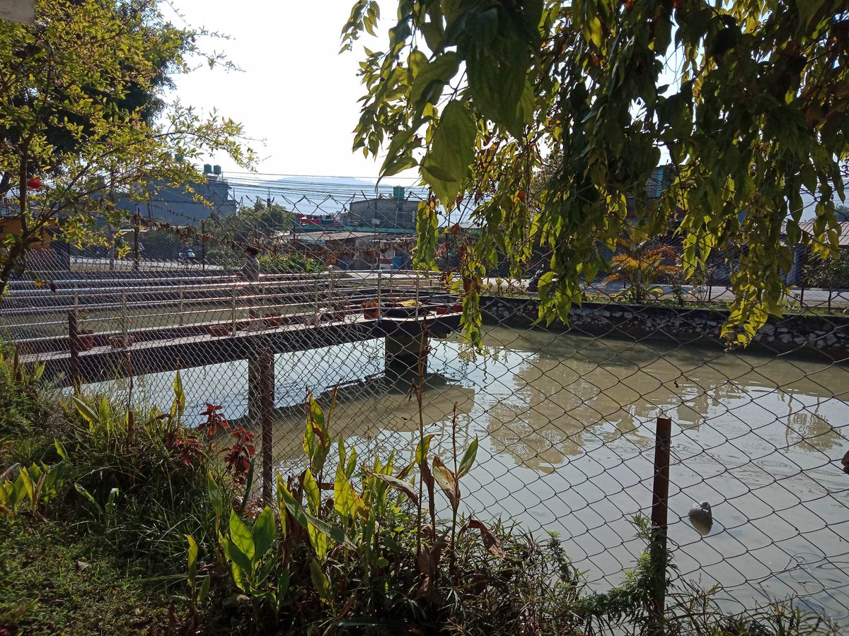 SudridhNURP's tweet photo. To support #PublicAssetManagement in Pokhara, the NURP team is currently conducting a pond inventory and status survey, aiming to study 40 of 129 ponds listed by PMC's environmental division. To date, 18 have been surveyed. https://t.co/asMfulYZ6f