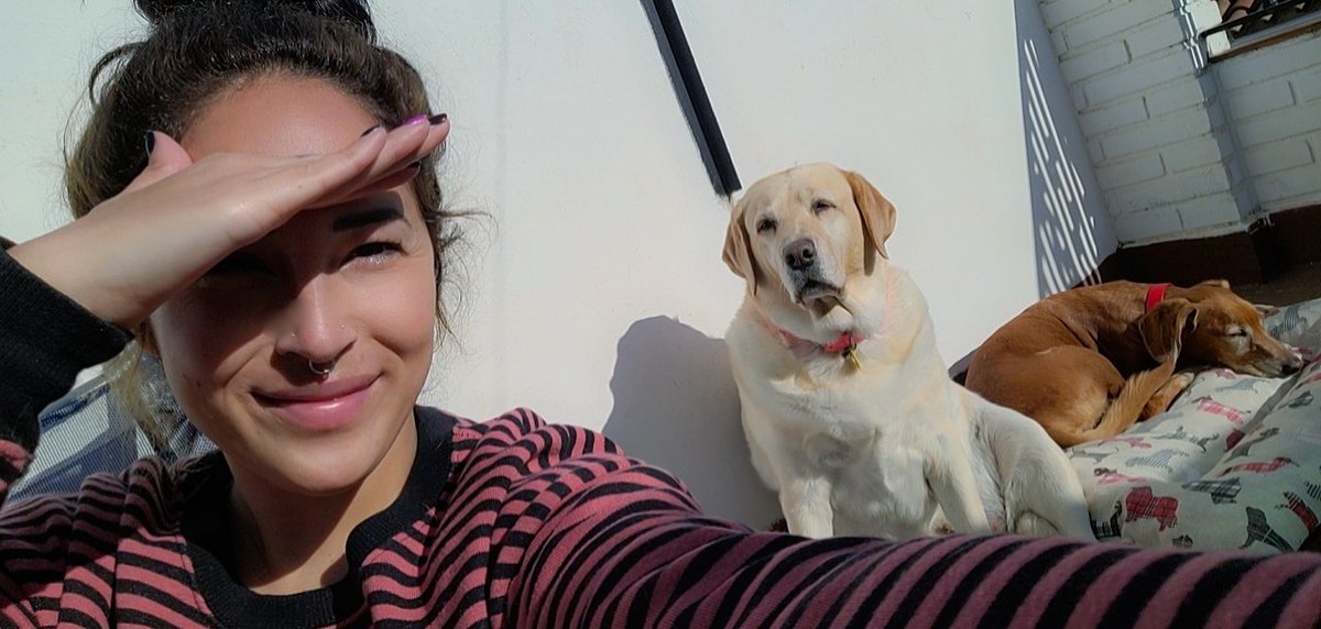 anitadinamita tweet media