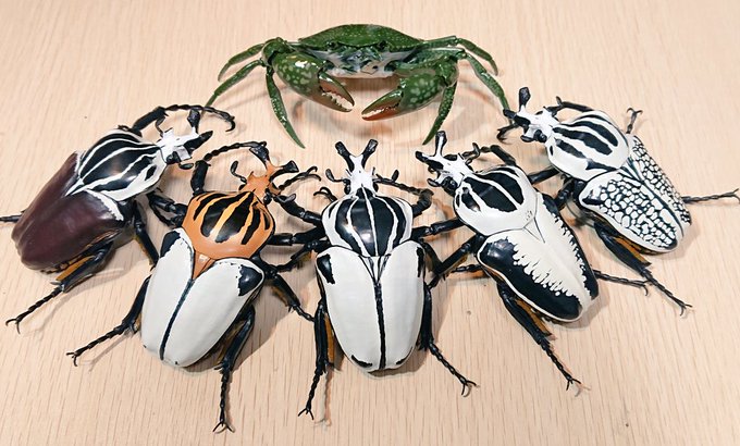 SO-TAさんとこの通販特典届いてゴライアスオオツノハナムグリだらけになった 