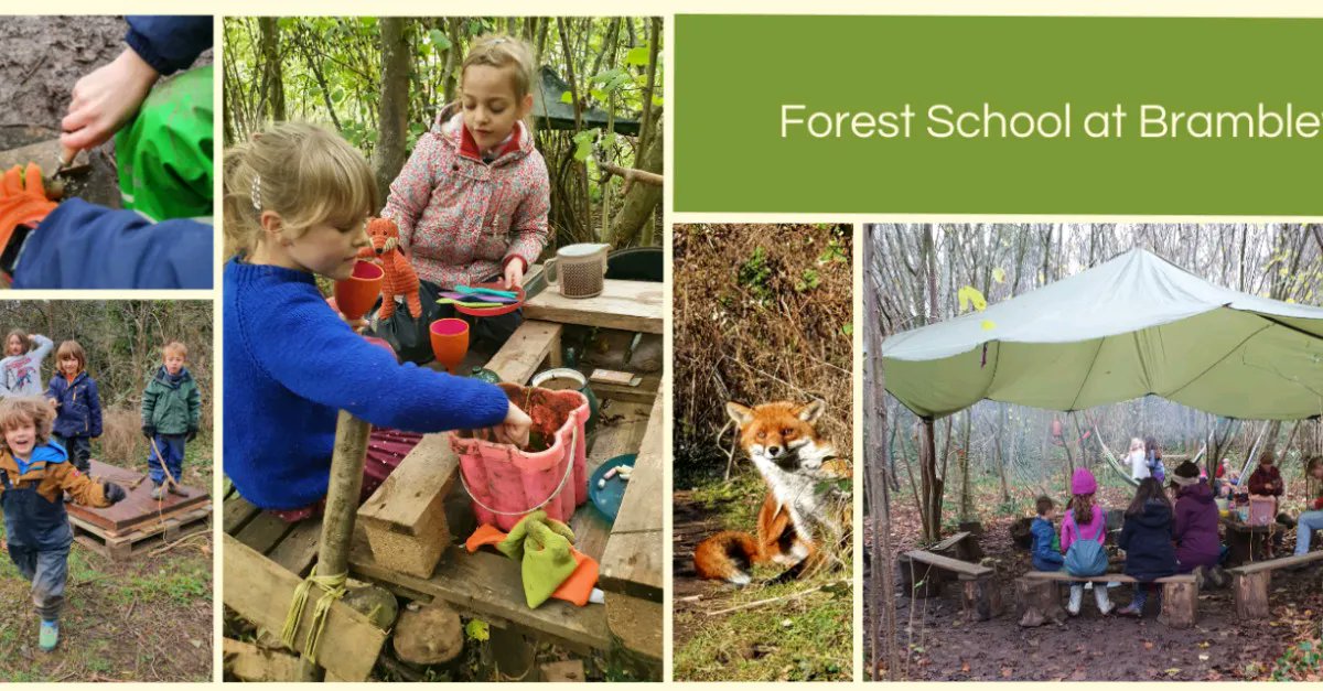 RootedWild's tweet photo. Now available: Half price one off taster sessions cost £5 instead of £10
🍁
Saturday,12:30 - 14:30 £10 for each 2 hour drop off session booked in a 6 week block. Discounts possible on request. 
https://t.co/bcqMvnuZd8
#forestschool #outdoorlearning #Worcestershirehour #kidsclub https://t.co/gKOpfOGvA0