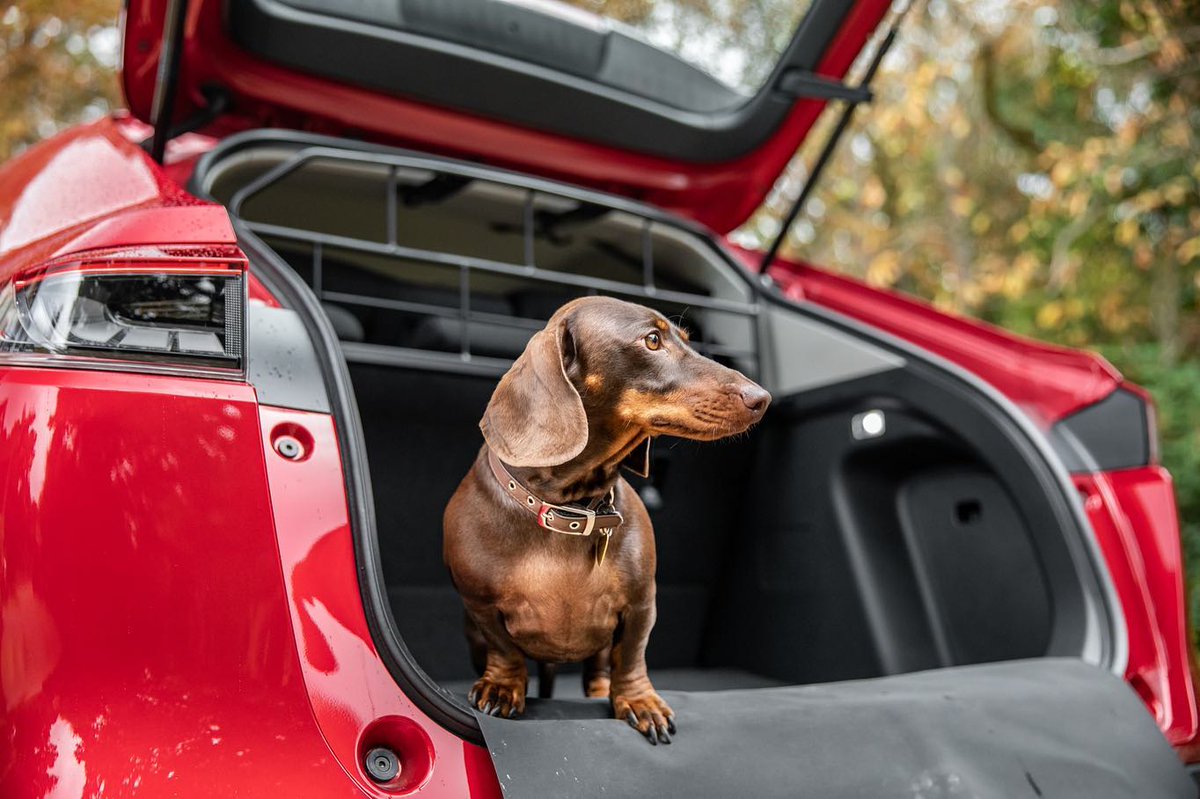 ¿Buscando los mejores accesorios para tu #Honda y tu mascota? 🐶
Viaja con tranquilidad y comodidad con tu mejor amigo con toda nuestra gama de accesorios especiales ✅