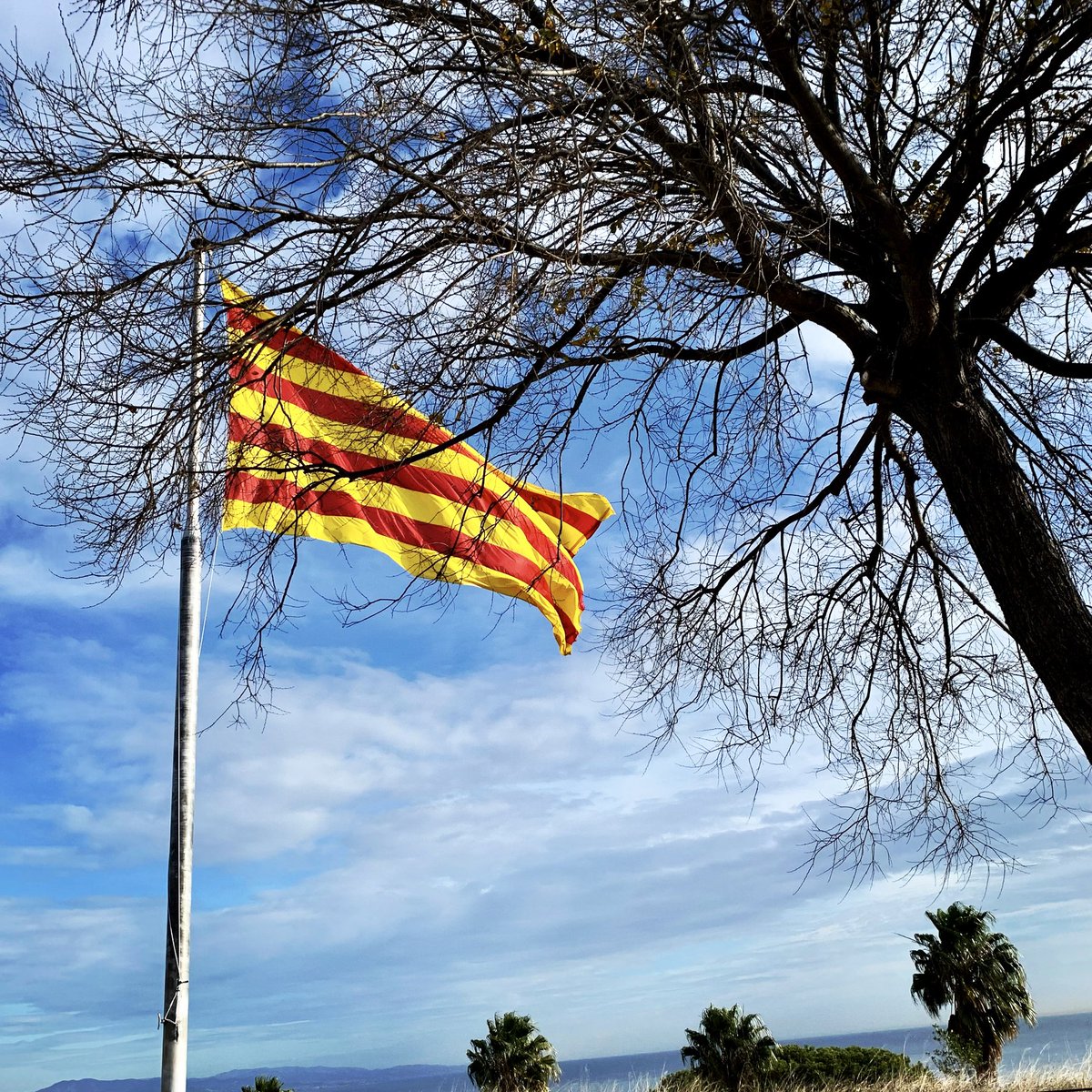 ValzeCook's tweet photo. #barcelona &amp; #fideua #surleblog du jour https://t.co/J77YXwZJOP https://t.co/Ov6B9Z1S7Z