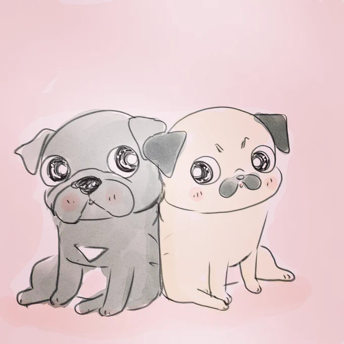 小春とお茶目、どっちが強いかなぁ 