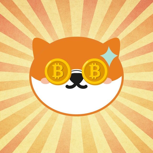 Bitcoin Inu tweet media