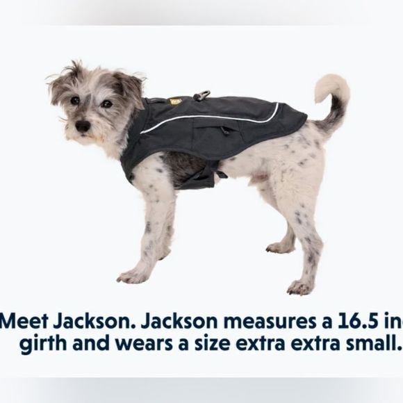 Megan3142's tweet photo. So good I had to share! Check out all the items I'm loving on @Poshmarkapp #poshmark #fashion #style #shopmycloset #ruffwear: https://t.co/WMaFpAFqS9 https://t.co/AttC85nmhV