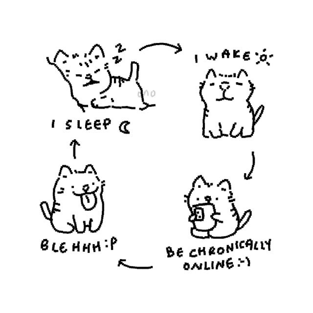 freakyren_'s tweet image. im a busy maomao