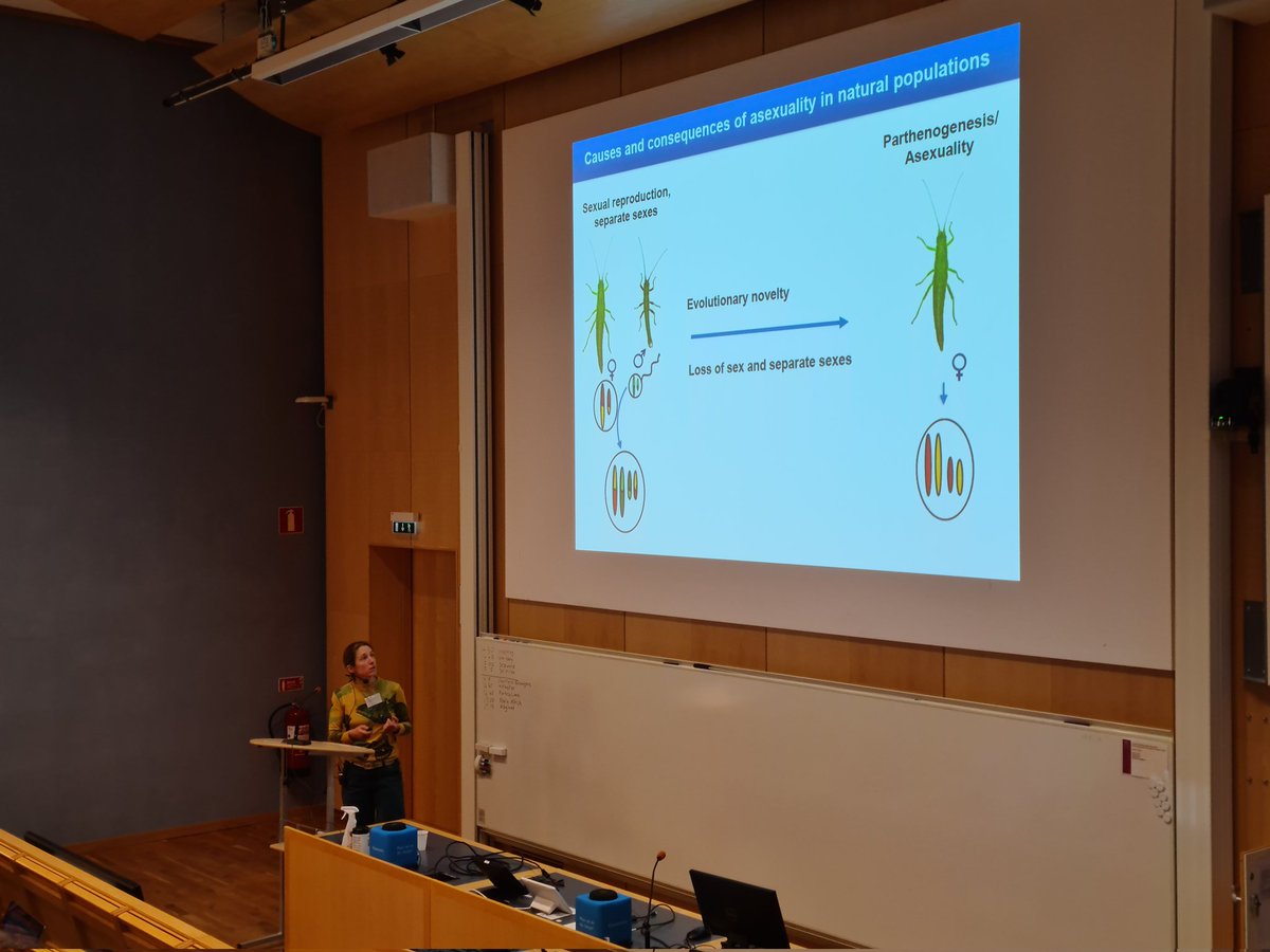 EvolOdonata's tweet photo. Time for @SchwanderTanja to give her plenary talk about reproductive systems and repeated transitions to asexuality in Tinema stick insects at #EvolutionInSweden in #Uppsala https://t.co/n9j896Klk8