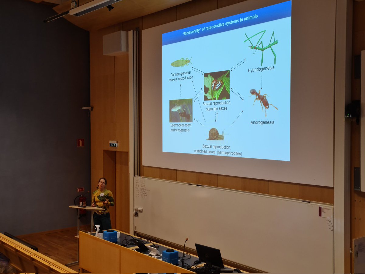 EvolOdonata's tweet photo. Time for @SchwanderTanja to give her plenary talk about reproductive systems and repeated transitions to asexuality in Tinema stick insects at #EvolutionInSweden in #Uppsala https://t.co/n9j896Klk8