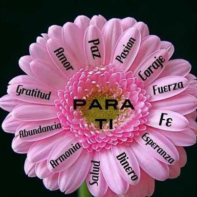 Nelia Plasencia (@neliaplasencia) on Twitter photo 