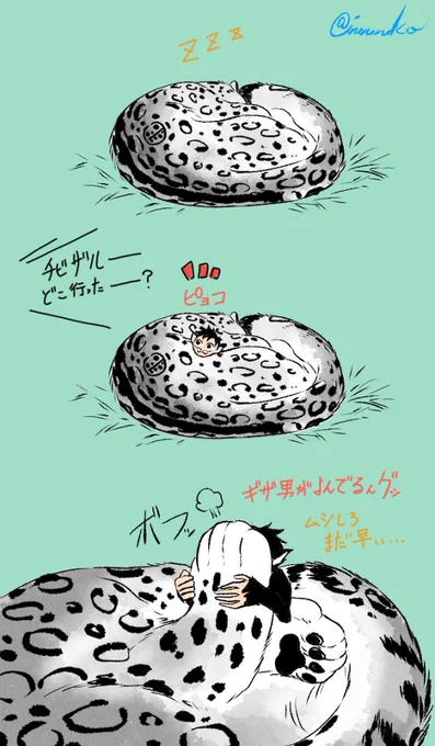突然の動物園パロ
⚠️
🐯は雪豹、👒は🐵で100%獣化
🌷は飼育員 