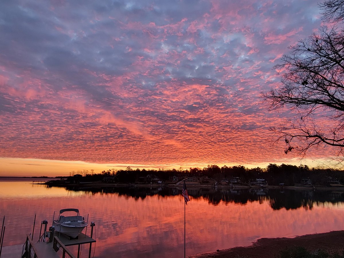 Human Nerve Ending tweet media
