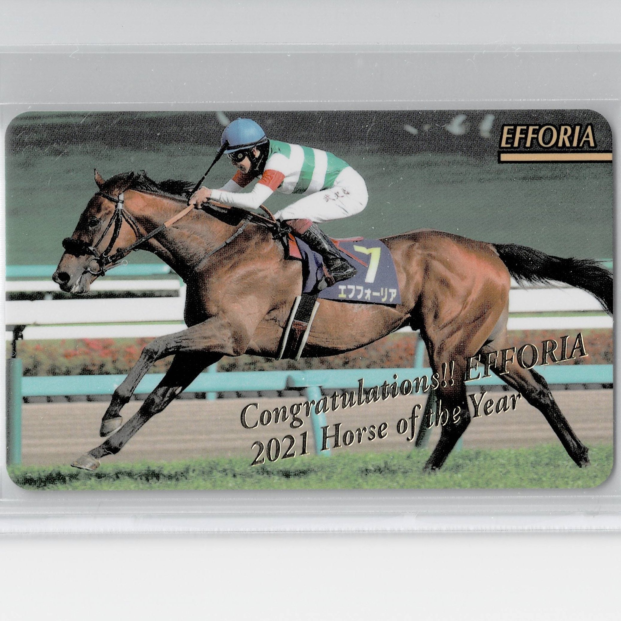 競馬 ヨカヨカ　レインボーカード15枚限定 競馬 ヨカヨカ レインボーカード15枚限定 競馬 ヨカヨカ レインボー