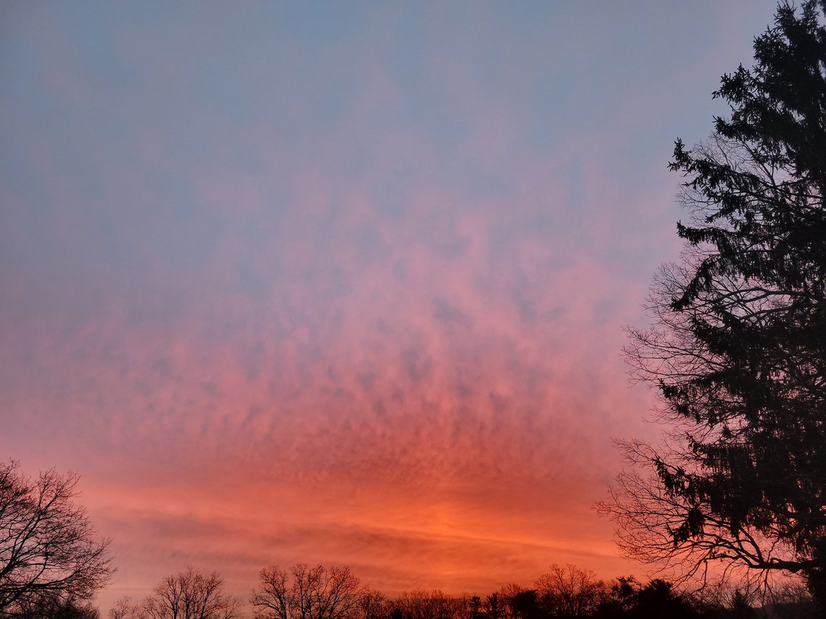 Mick Bates tweet media