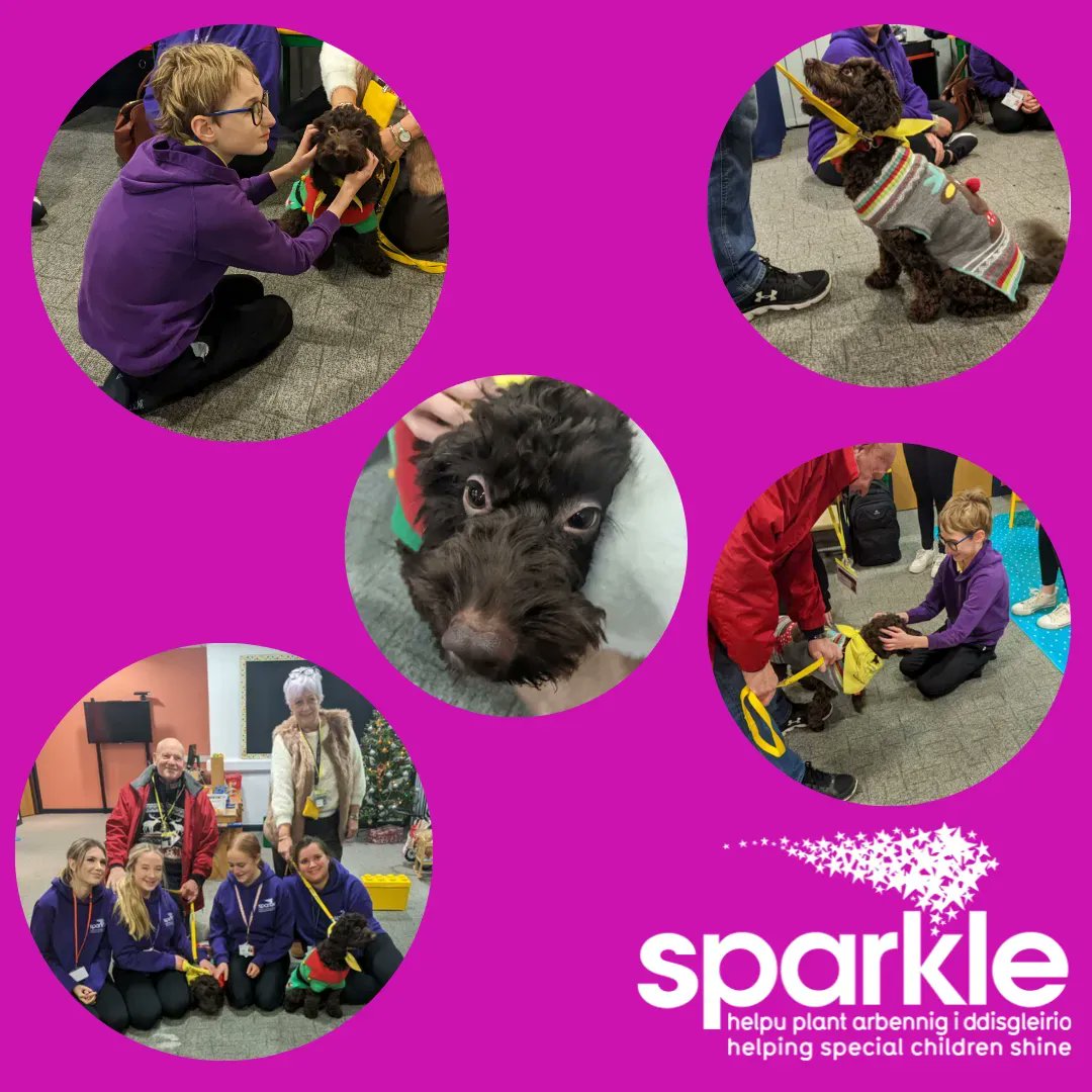 sparkleappeal's tweet image. SENCOM were lucky enough to have a special visit from some furry friends. 🐶

These beautiful calming Therapy dogs were welcomed with open arms and we hope to have another visit in the near future   

#TherapyDogs #SENCOM #SparkleAppeal #HelpingSpecialChildrenShine