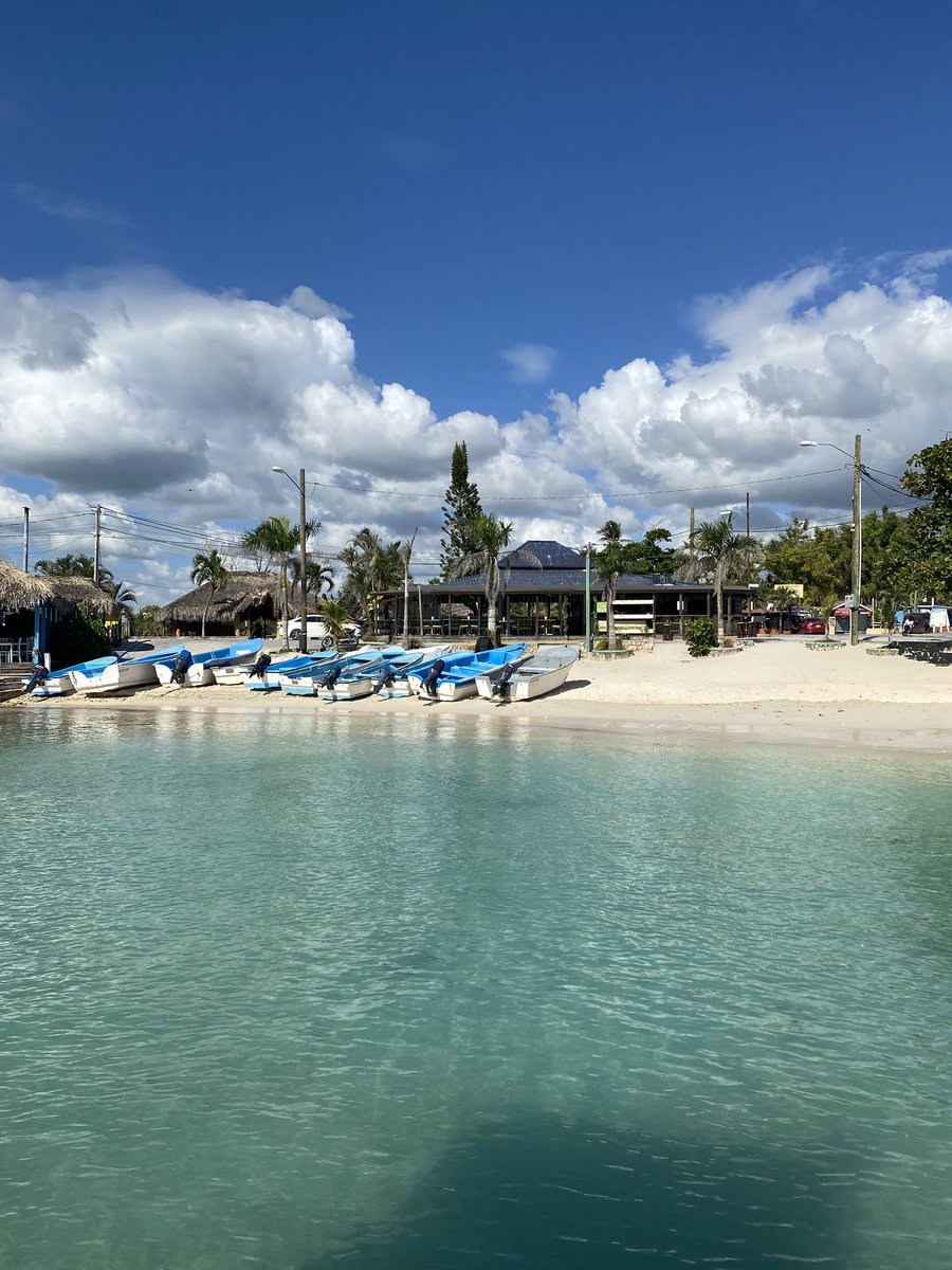 📍 Dominican Republic

Hopefully my last solo trip! Diving in the Caribbean for 7 days across Christmas. Very special!

#travel #caribbean