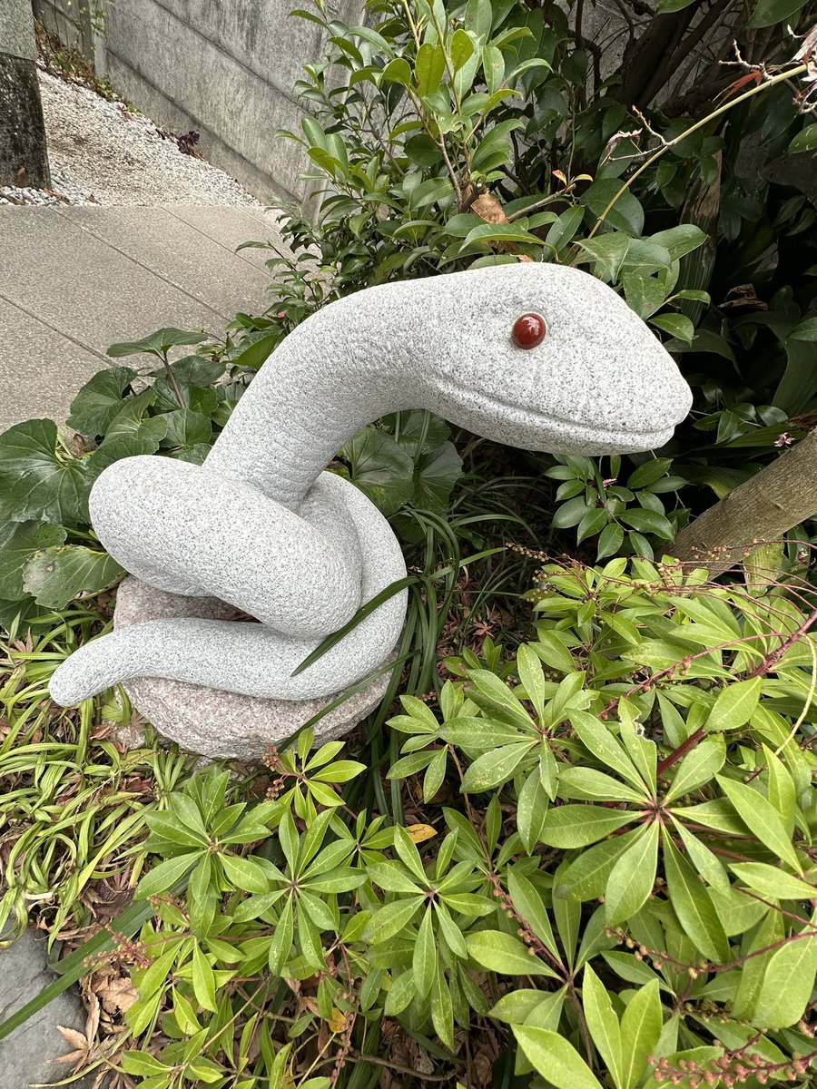 kaiunmagnet's tweet photo. 本日新年初の巳の日🐍

蛇窪神社に行ってきました😊✨

巳の日ということもあり、朝から長蛇の列！しかし、スタッフが大勢いて、列も整備されてて回りやすかったです！

とても手水舎がきれいでした🌸

#蛇窪神社  #巳の日　#神社巡り  #神社　#開運 https://t.co/1KXTCP9LMu