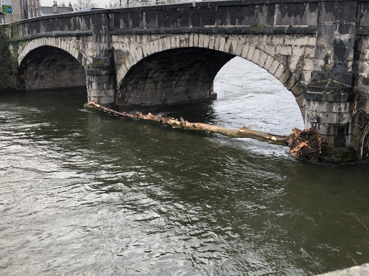 Saw a tree across #MillerBridge in #Kendal. 11/1/23 around 10am. Might need sorting? Not sure who to tag in tho? @Supergios @CumbriaHighways @CumbriaFloods ? Who is in charge of waterways/rivers? Any retweets and tags welcome!