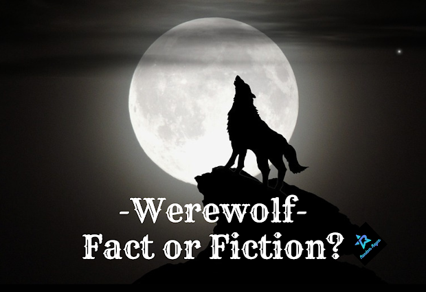random_royce's tweet photo. Werewolf | Fact or Fiction?🐺
▶️https://t.co/7qeyahRHaz 

#Werewolf #FactOrFiction 
#RandomRoyce https://t.co/x7rIJ648ij