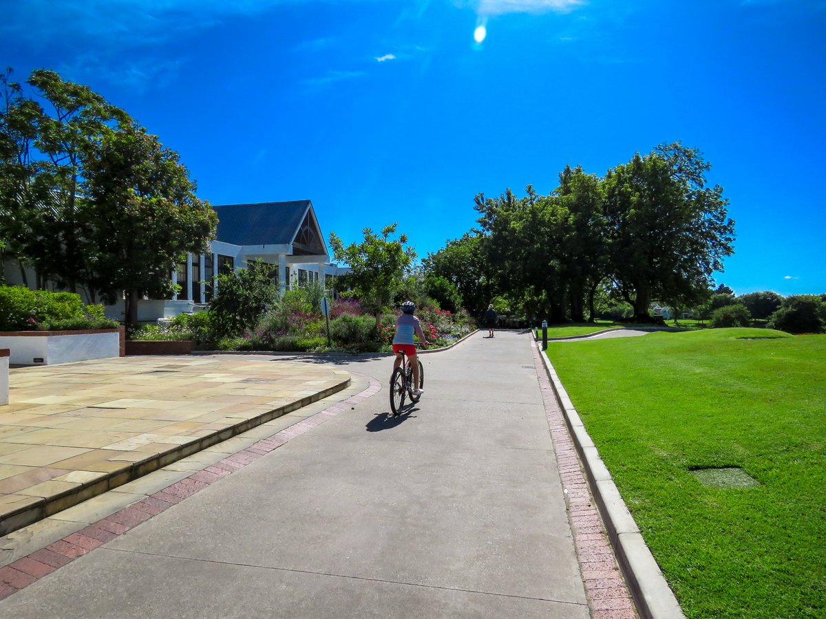Fancourt tweet media