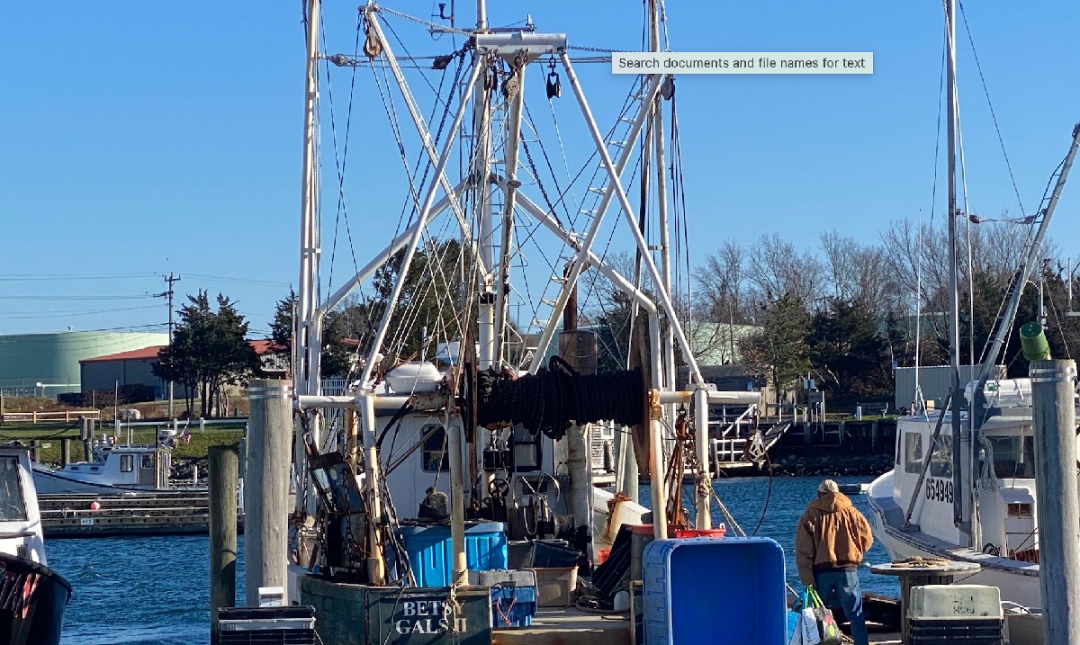 FishAlliance's tweet photo. There is no off-season for commercial fishermen; the Sandwich Marina is busy all year long!
#fishalliance #commercialfishing #sandwich #workingwaterfronts https://t.co/BjBPUtPN9a