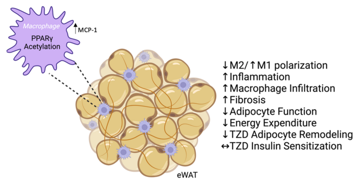 Journal of Clinical and Cellular Immunology tweet media