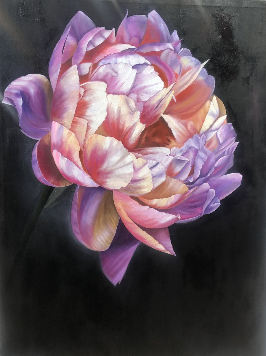 nidaaslam's tweet photo. @SaatchiArt Hi @SaatchiArt 
I am an oil painter. My work focuses on capturing moments and places mostly in my imagination. I also love to paint and sketch portraits 
#PortfolioDay https://t.co/G29rk4kIy1