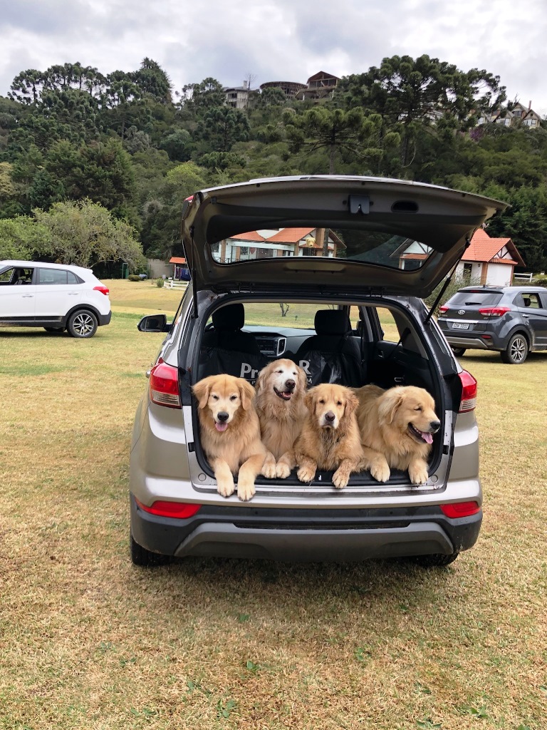 AutoDestaque's tweet photo. Veja 10 dicas para manter seu veículo seguro e evitar perrengues na estrada [https://t.co/f8IlqX4rvZ] #dicasautomotivas #viagem #ferias #revisao #manutencao #trajeto #duração #combustivel #bagagem #documentação #sinalização #crianças #pets #alimentação #seguro https://t.co/dYLdtVgOGY