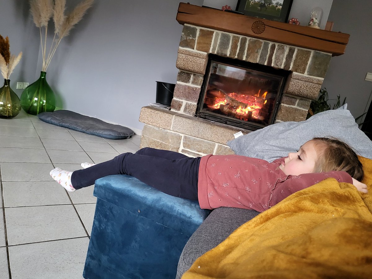emiliethebos's tweet photo. Je crois qu'elle vit sa meilleure vie... #maloulou https://t.co/4hTFyxHsMi