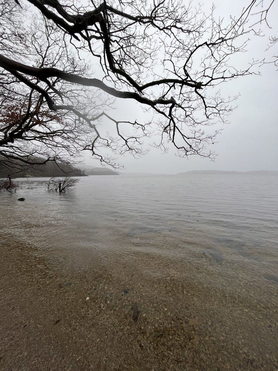 hollywytiah's tweet photo. Foolishly assumed that the weather may hold off for an hour, but managed to sneak a peek at Loch Lomond between @IapetusDTP training. https://t.co/XVX7d1eXHH
