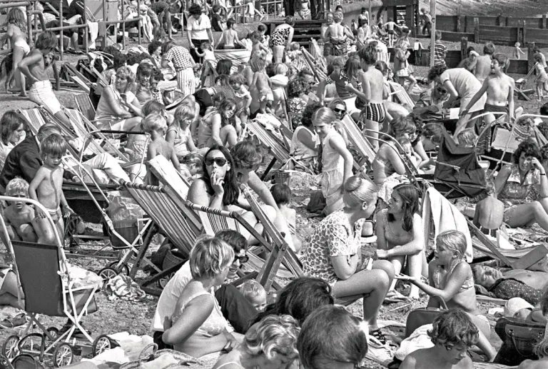 Rupert Bumfrey 💙🖤🤎💚💜 tweet media