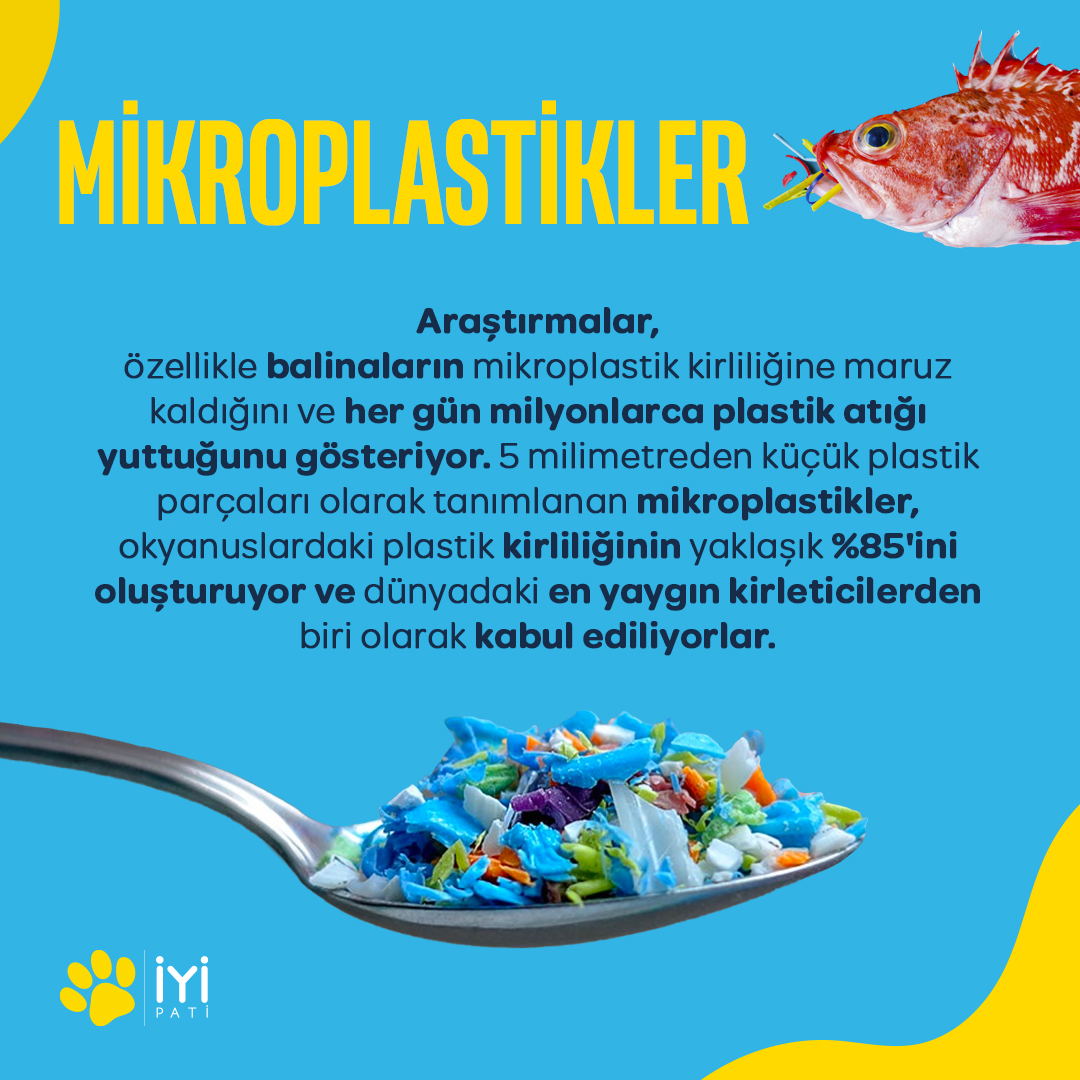 📌2019 yılında Greenpeace tarafından hazırlanan rapora göre; tüm balıkların yüzde 44.3’ünde mikroplastik bulunuyor. 📌Gıda ürünlerinde tespit edilen ve besin zincirine karışan mikroplastikler, insanlar üzerinde de ciddi sağlık bozucu etkilere sahip olabilmektedir.