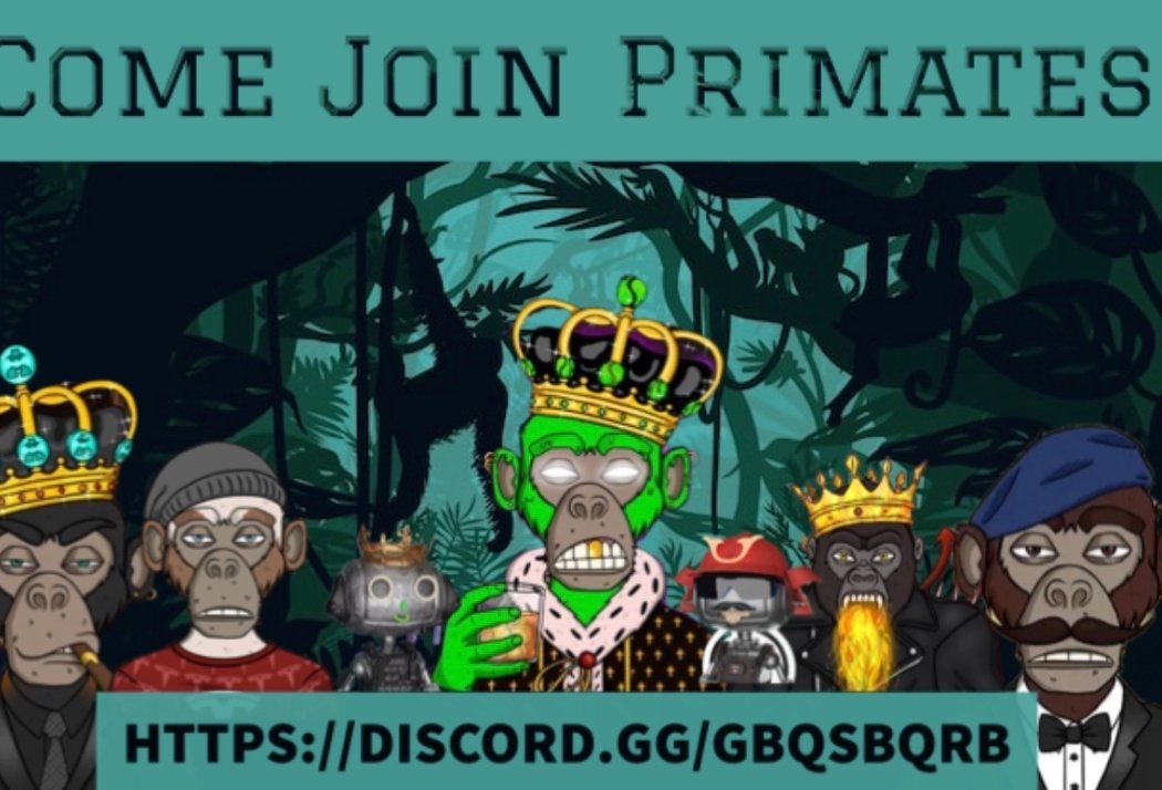 MSing_98's tweet photo. Let's Go Primates!!!
@PrimateCronos
#primatestogether #PrimatesAreBack
Primate Discord link: https://t.co/5UQ6bdQlDb https://t.co/T2z7AhOH0U