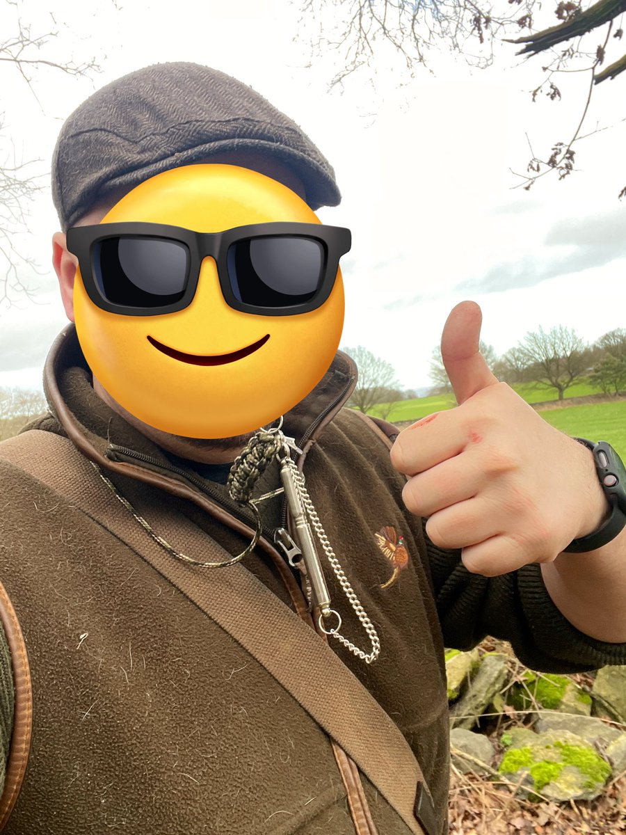 CaptainSC5's tweet photo. 2 dogs walked and had a bit of training. Hopefully they’ll have a good nap now so I can get on with some studying!
#EnglishSpringerSpaniel #springerspaniel #workingspringer #gundogs #gundogtraining #walkies #pheasantshooting https://t.co/N5XgtNxZx1