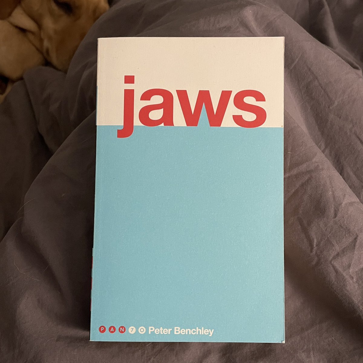 Kate Lambert tweet media