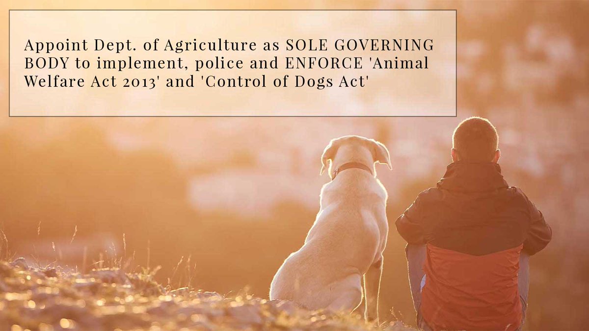 ANNA WEBB tweet media