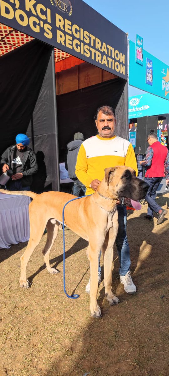 JanuaryOfJaipur's tweet photo. ~ Events in #JanuaryofJaipur ~
Glimpses of the spectacular #JaipurDogShow
.
.
.
#Dogs #January #DogShow #Jaipur #EventsinJaipur https://t.co/a5O2RhYPOB