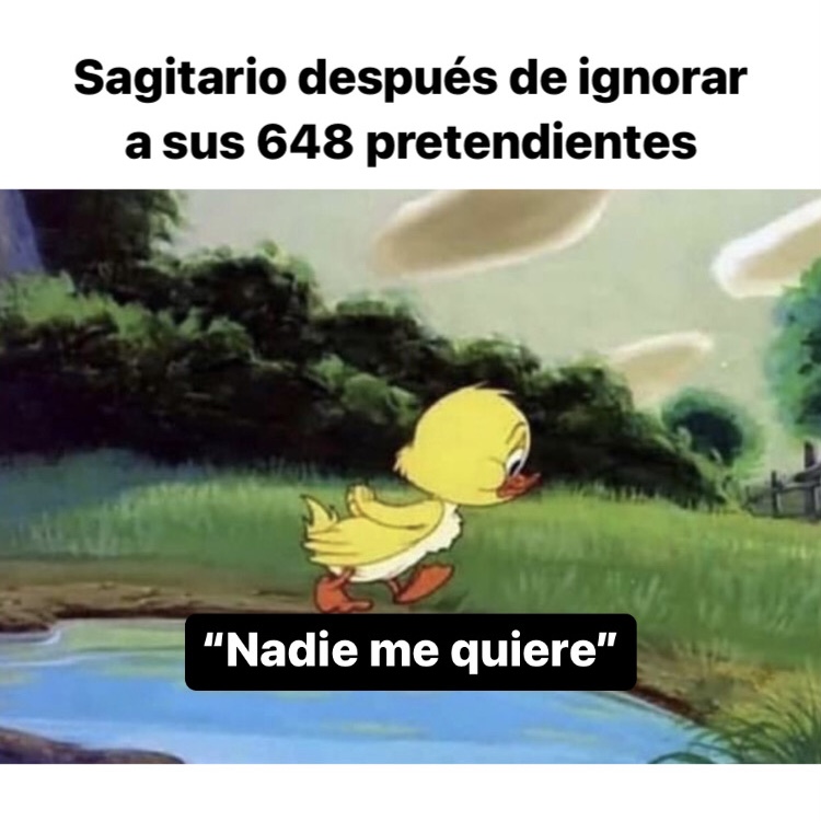 🤣🤣🤣 #sagitario #horoscoponegro
