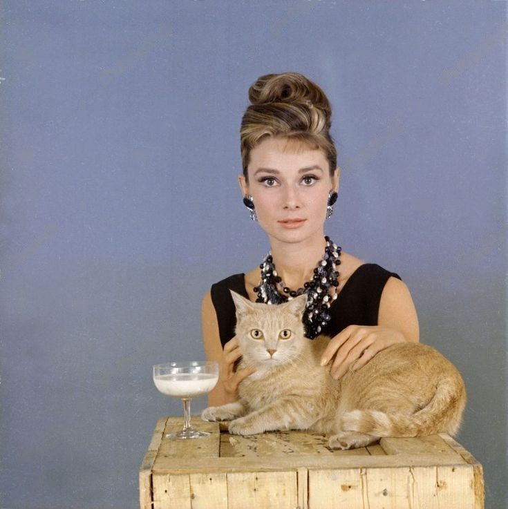 Happy #NationalMilkDay! 🥛⠀
⠀
Audrey Hepburn photographed by Howell Conant for Breakfast at Tiffany's, 1961